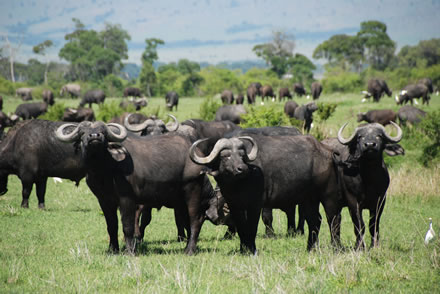 OLDONYO SABUK - Hiking and Adventures
