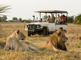 tours and safaris
